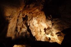 Vereinsausflug - Dachsteineishöhle, Mammuthöhle, Gjaidalm